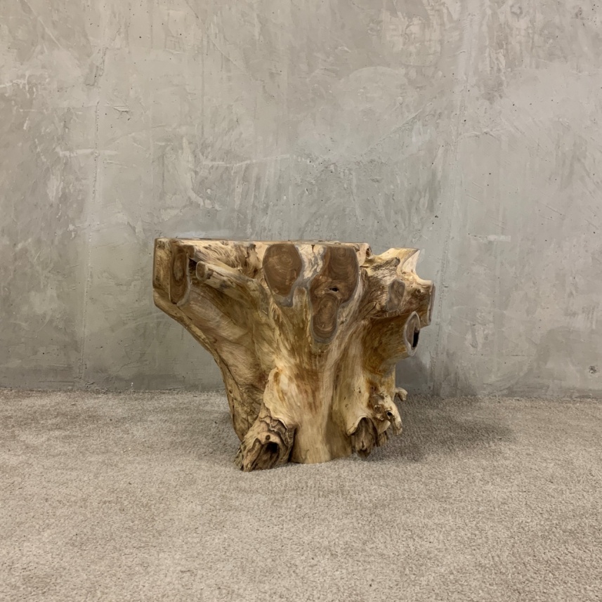 Teak Root Coffee Table - Image 2