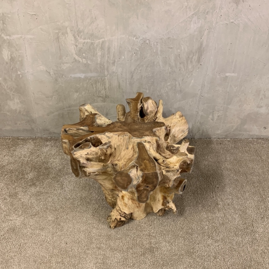 Teak Root Coffee Table - Image 3
