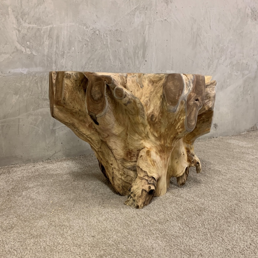 Teak Root Coffee Table - Image 4