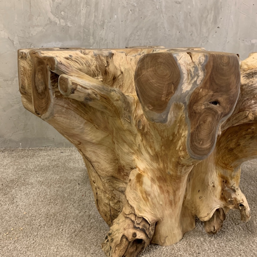 Teak Root Coffee Table - Image 5