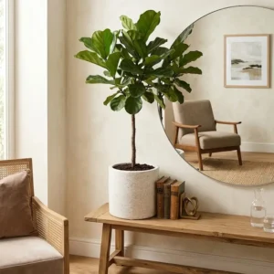 White Ceramic Vase